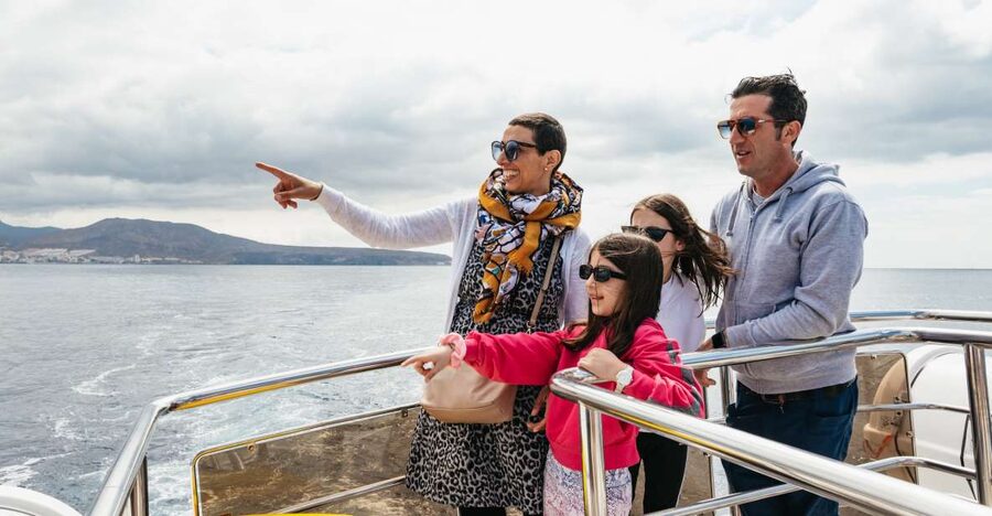 Tenerife: Eco-Yacht Whale and Dolphin Watching and Swimming - What Animals You Might See on This Route