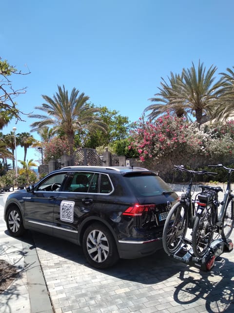Tenerife: Electric Mountain Bike Rental with Hotel Delivery - Who this one-day electric bike rental is best for