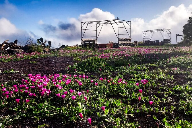 Tenerife Exclusive & Private Gastronomic, Sunset-Stargazing - Through the telescope: what you might really see