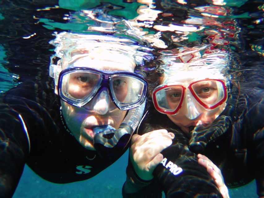 Tenerife Exclusive Snorkeling Trip with Marine Biologist - Gear, snacks, and the little comforts that make snorkeling easier