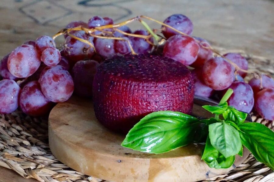 Tenerife - Farm Tour with Cheese Tasting - Key highlights you will feel on the hour