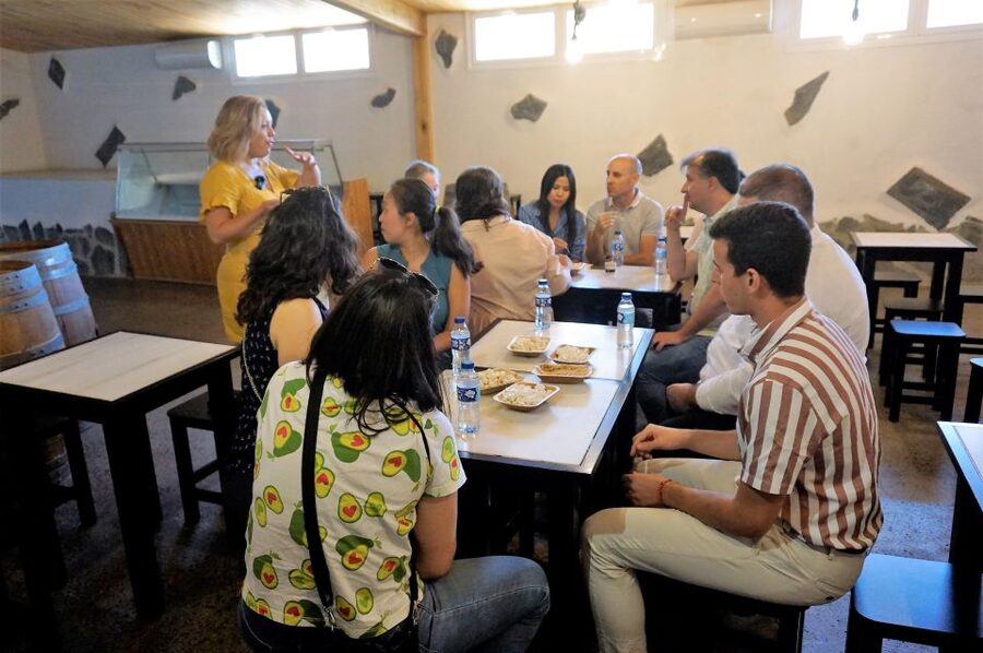 Tenerife - Farm Tour with Cheese Tasting - Price and value: $33 for a focused farm-to-tasting experience