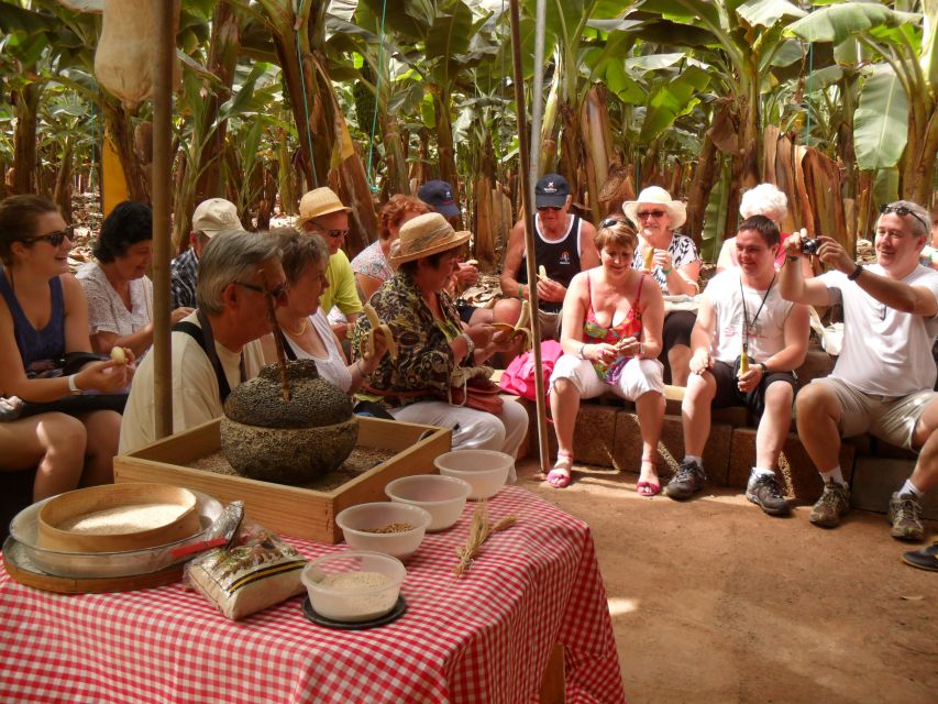 Tenerife: Finca Las Margaritas Banana Plantation Experience - Price, duration, and value: what $11 buys you here