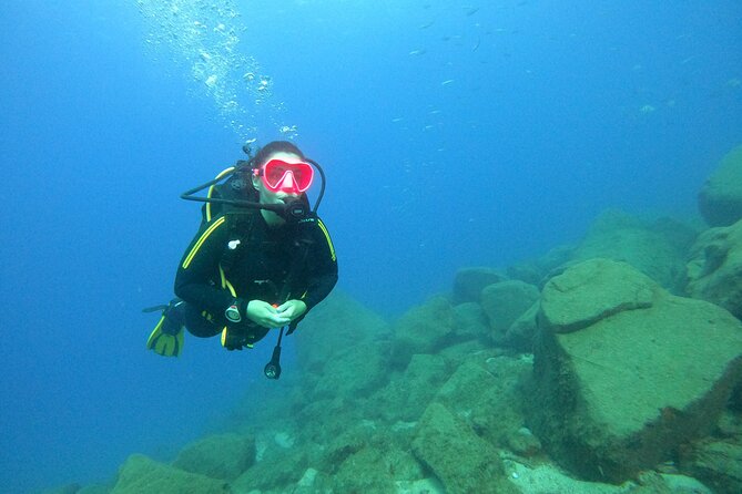 Tenerife First Time Scuba Dive – Turtle Habitat, Small Groups - Snorkeling safari: warm lagoons and a gentler animal hunt
