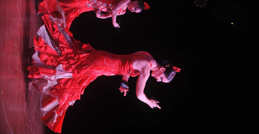 Tenerife: Flamenco Performance at Teatro Coliseo - Key things that matter before you go