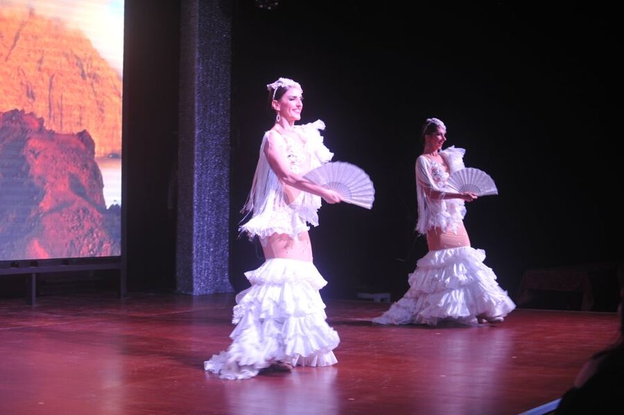 Tenerife: Flamenco Performance at Teatro Coliseo - Who should book, and who might skip