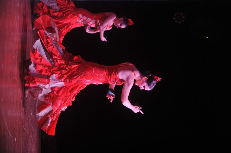 Tenerife: Flamenco Performance at Teatro Coliseo - Price and value: what you really get for about $37