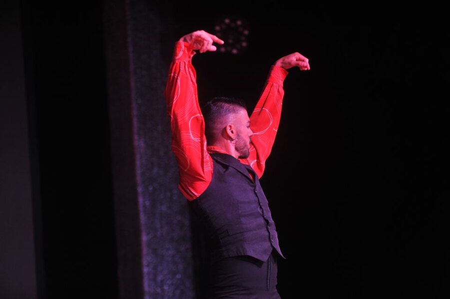 Tenerife: Flamenco Performance at Teatro Coliseo - Meeting point and timing: where to check in, and how not to waste your time