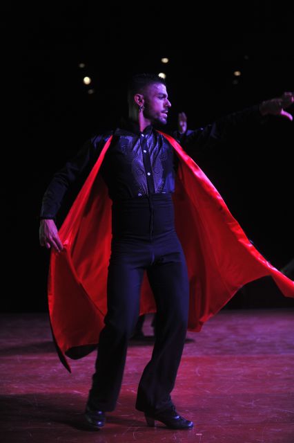 Tenerife: Flamenco Performance at Teatro Coliseo - What the show feels like once you’re seated