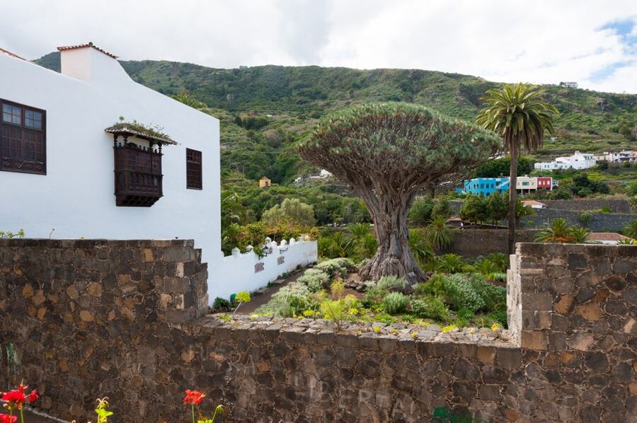 Tenerife: Full-Day Guided Island Tour - Key highlights you will actually care about