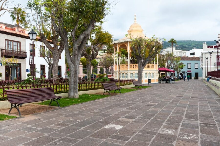 Tenerife: Full-Day Guided Island Tour - Icod de los Vinos and the Dragon Tree moment