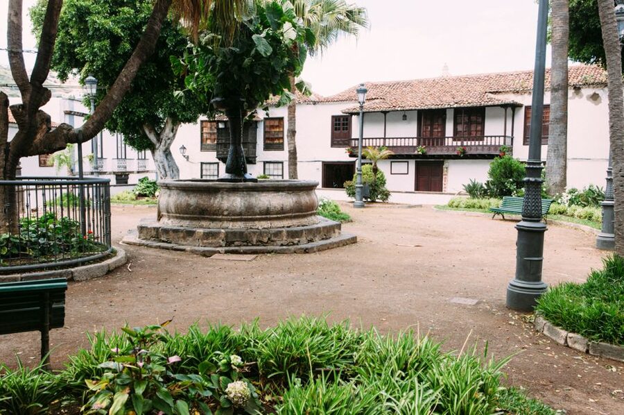 Tenerife: Full-Day Guided Island Tour - Puerto de la Cruz: your free time, your lunch plan