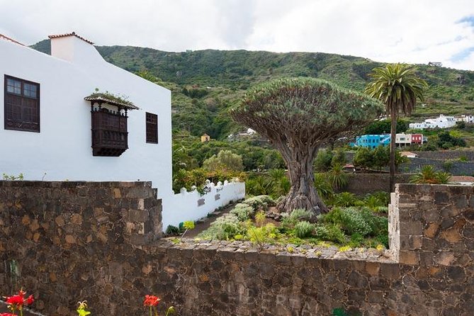 Tenerife Full Island Tour - Parque del Drago (Icod de los Vinos): See the Dragon Tree Up Close