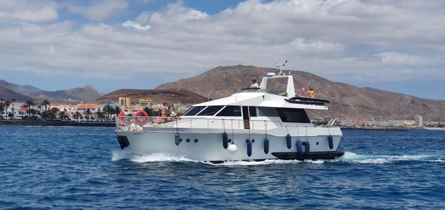 Tenerife: Fun Yacht Trip with Water Activities and Toys - Cruising Toward Cueva de Palm Mar With a Photo-Stop Rhythm