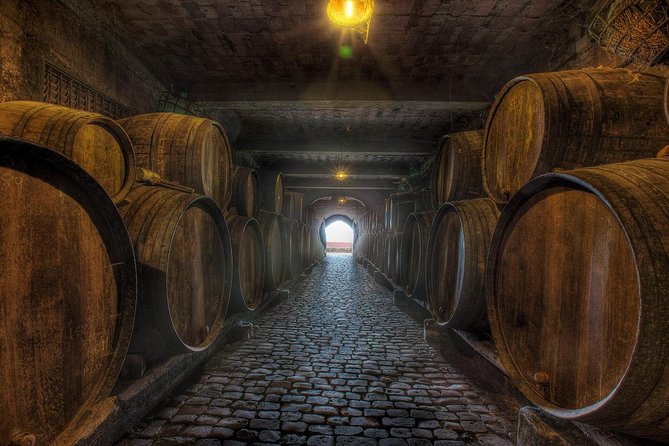 Tenerife Gastronomy Tour with Two Winery Visits and 4-Course Lunch - Casa del Vino de Tenerife: Cheese, Three Wines, and a Short Film