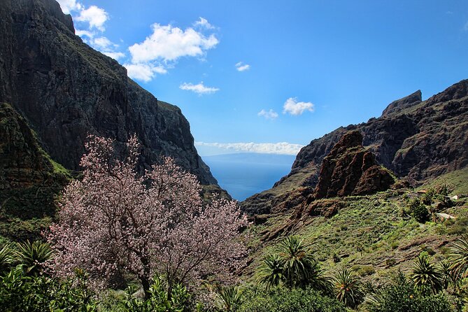 Tenerife Grand Tour: including Teide National Park and Masca - A Tenerife day that strings together four worlds
