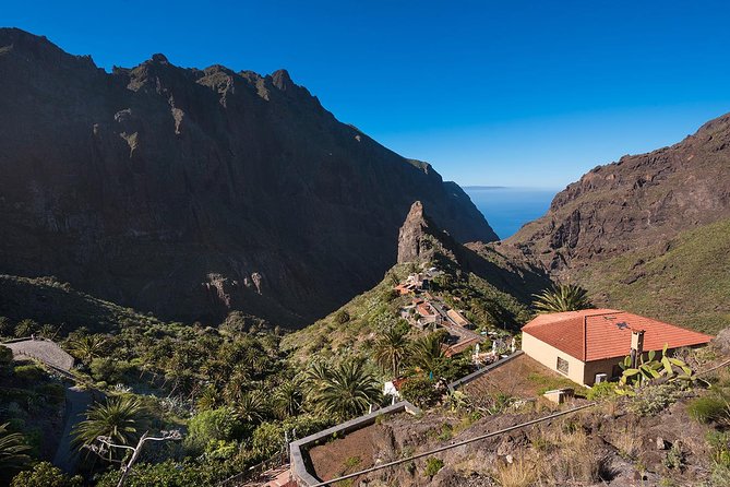 Tenerife Grand Tour: including Teide National Park and Masca - The value question: is $66.08 a fair deal?