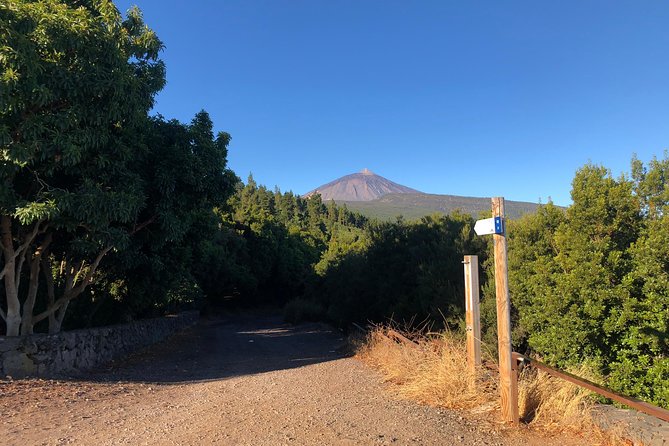 Tenerife Grand Tour: including Teide National Park and Masca - Hotel pickup and the coach routine: how to avoid a chaotic start