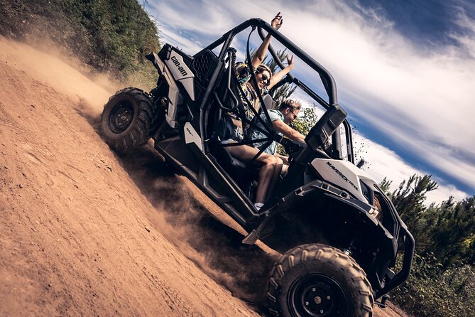 Tenerife Guided Buggy Discovery Tour Around Mount Teide - Key highlights you’ll care about