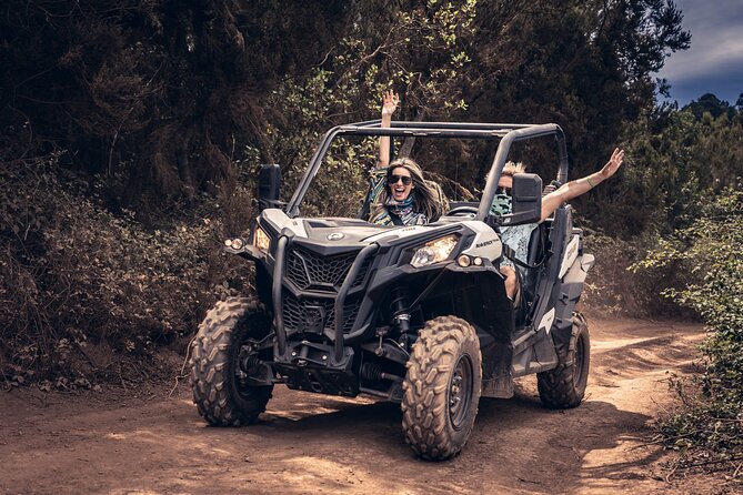 Tenerife Guided Buggy Discovery Tour Around Mount Teide - Stop 5: Tamaimo wine and cheese for a laid-back finish