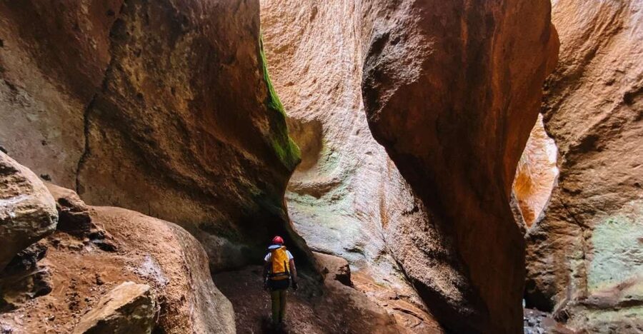 Tenerife: Guided Canyoning Experience in Los Arcos - Key highlights you’ll actually feel