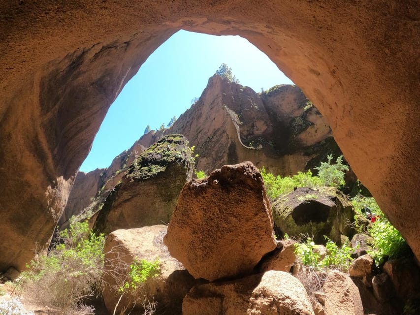 Tenerife: Guided Canyoning Experience in Los Arcos - Who this beginner-friendly canyoning tour is for