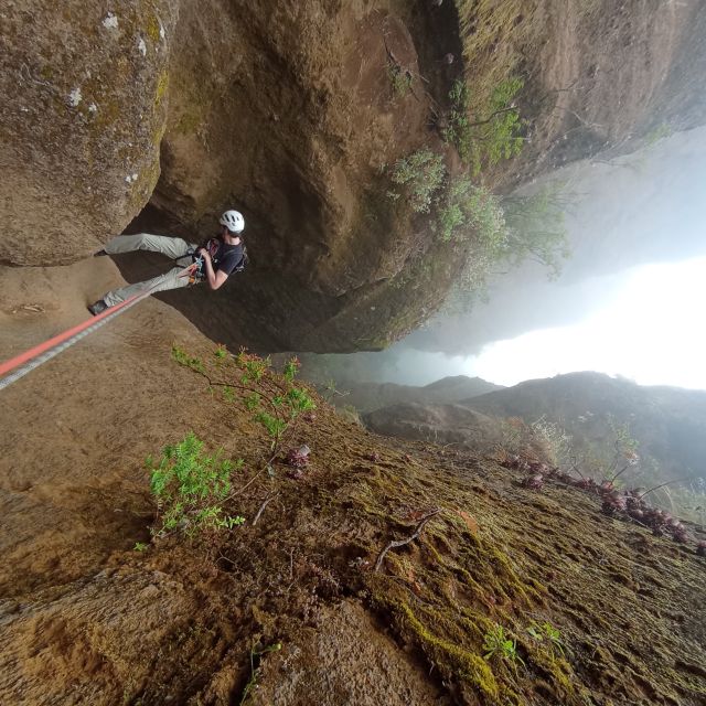 Tenerife: Guided Canyoning Experience in Los Arcos - Why Los Arcos Canyoning Feels Different on Tenerife