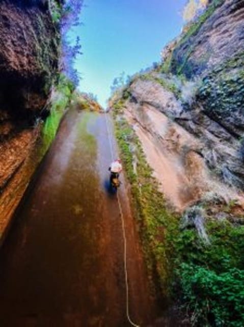 Tenerife: Guided Canyoning Experience in Los Arcos - What the canyoning day feels like hour by hour