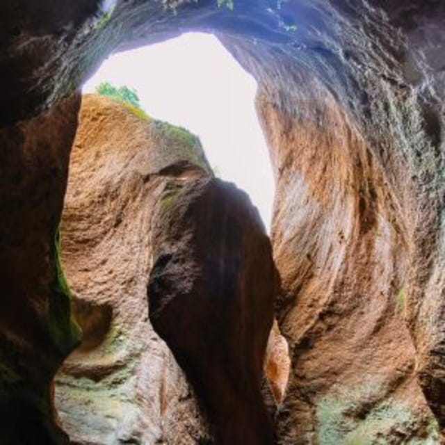 Tenerife: Guided Canyoning Experience in Los Arcos - Price and value: why $82 makes sense for a guided rope day