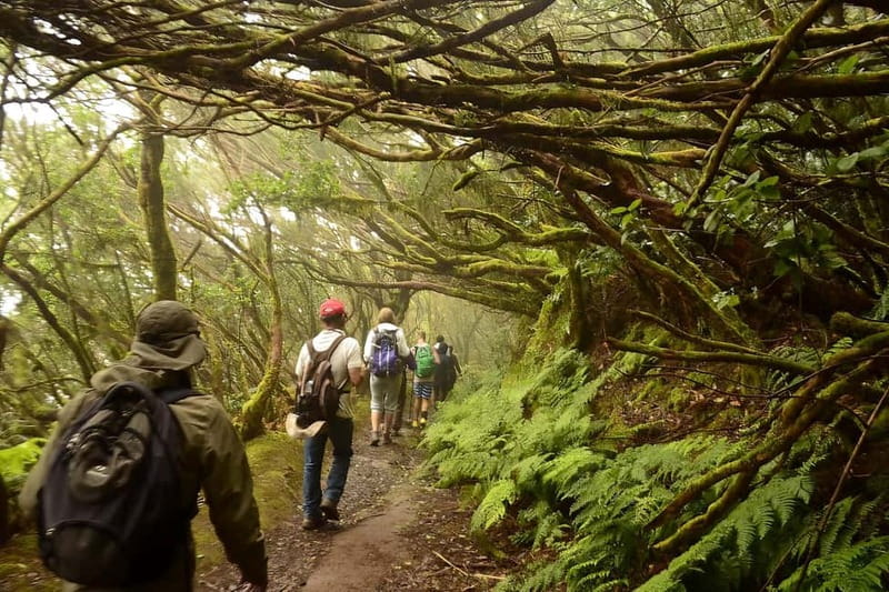 Tenerife: Guided tour guide in the Anaga Rural Park - Guide Quality, Included Insurance, and Value
