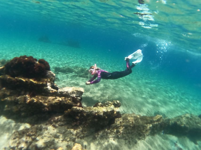 Tenerife: Half-Day Snorkeling Tour - Key highlights worth your attention