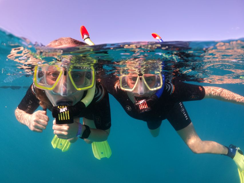 Tenerife: Half-Day Snorkeling Tour - Getting there, pickup zones, and the beach-friendly plan for non-snorkelers
