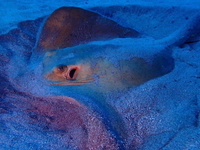 Tenerife: Half-Day Snorkeling Tour - Playa Abades start: briefing, wetsuit fit, and first lessons