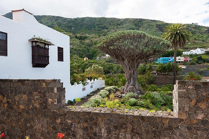 Tenerife Highlights Full-Day Tour - Garachico on the North Coast: Black Sand, Old Port, and the 1706 Eruption