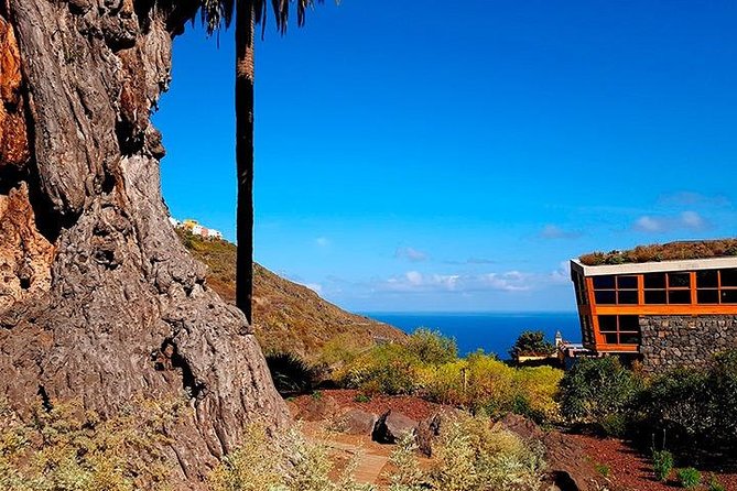 Tenerife Highlights Full-Day Tour - Food on Your Own: How to Plan Lunch Without Losing the Day