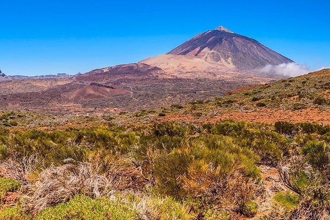 Tenerife Highlights Full-Day Tour - Vilaflor, Pine Foothills, and the Volcanic Plateau That Film Fans Recognize
