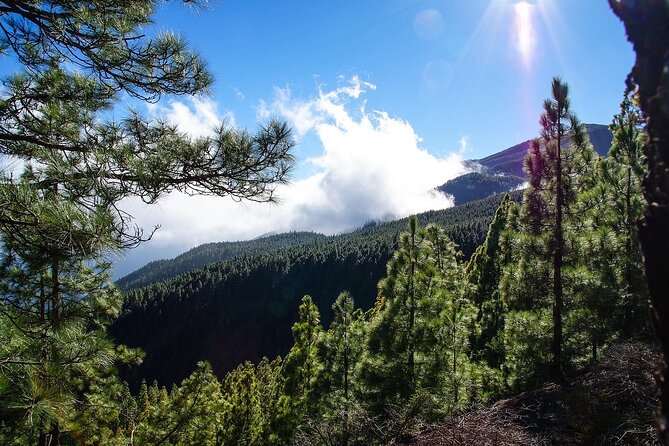 Tenerife Highlights VIP Custom Private Tour - photos included - Candelaria and the Black Madonna, plus an easy lunch decision