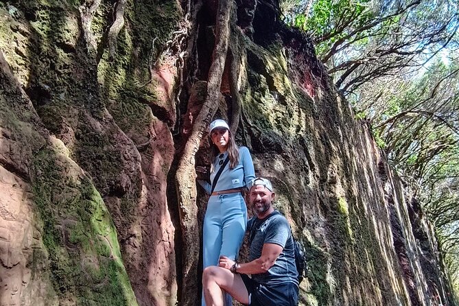 Tenerife: Hiking Tour in Anaga Mountains and Enchanted Forest - Key things to know before you lace up
