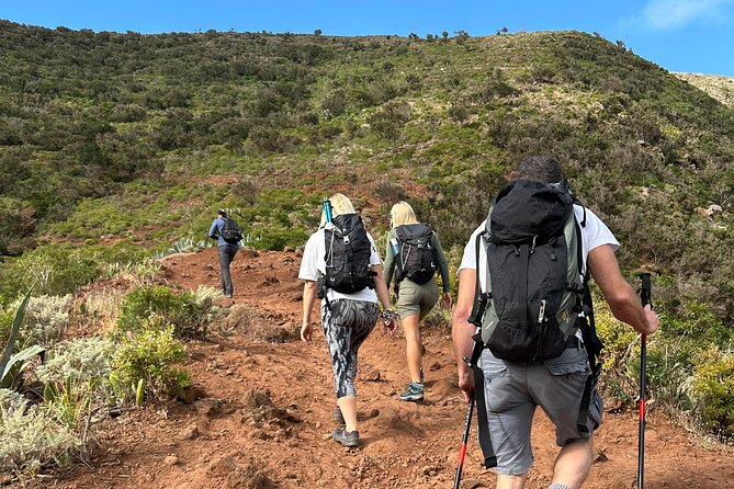 Tenerife: Hiking Tour in Anaga Mountains and Enchanted Forest - Pickup and timing: how you avoid losing half the day