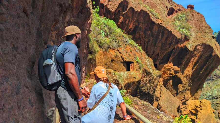 Tenerife: Hiking Tour in Anaga Mountains & Enchanted Forest - Key highlights you’ll feel in your day