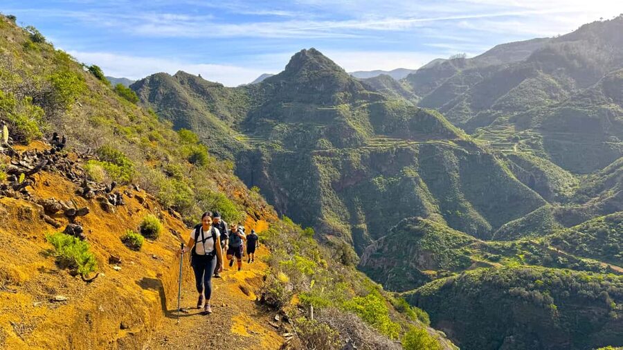 Tenerife: Hiking Tour in Anaga Mountains & Enchanted Forest - Timing for cruise ship days and Santa Cruz connections