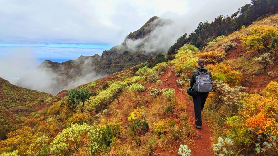 Tenerife: Hiking Tour in Anaga Mountains & Enchanted Forest - Why Anaga feels different from the rest of Tenerife