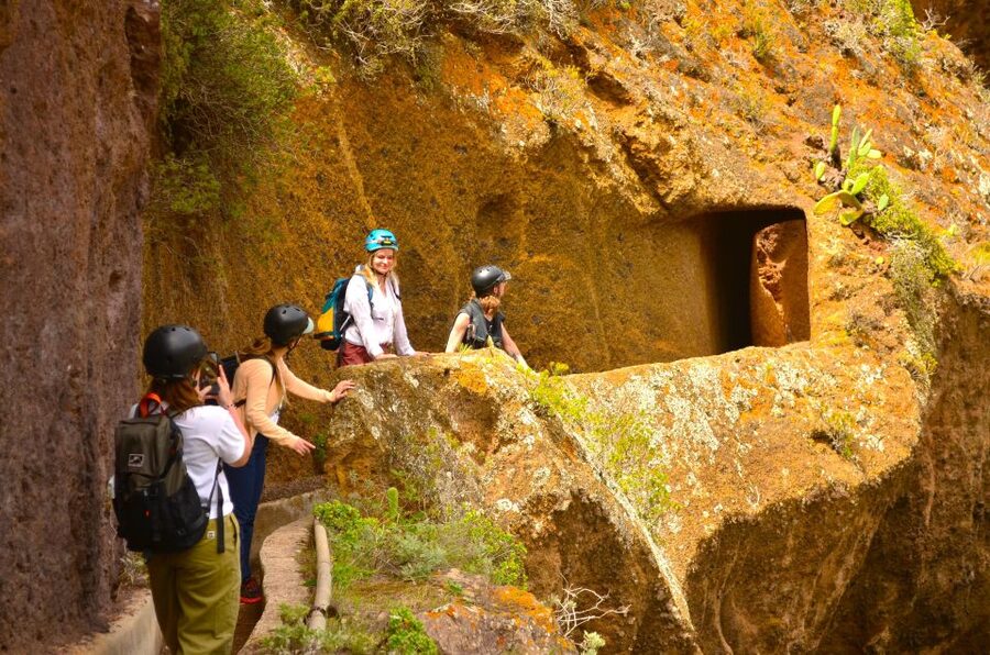 Tenerife: Hiking Tour in Anaga Mountains & Enchanted Forest - The enchanted drive: Anaga laurel forest viewpoints and cave village stops