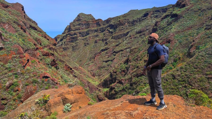 Tenerife: Hiking Tour in Anaga Mountains & Enchanted Forest - The hike itself: a moderate 7 km route with a real climb
