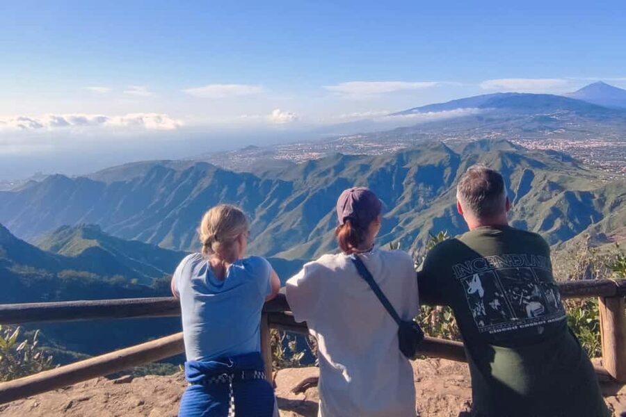 Tenerife: Hiking Tour in Anaga Mountains & Enchanted Forest - Gear and safety: why helmets, sticks, and flashlights are included