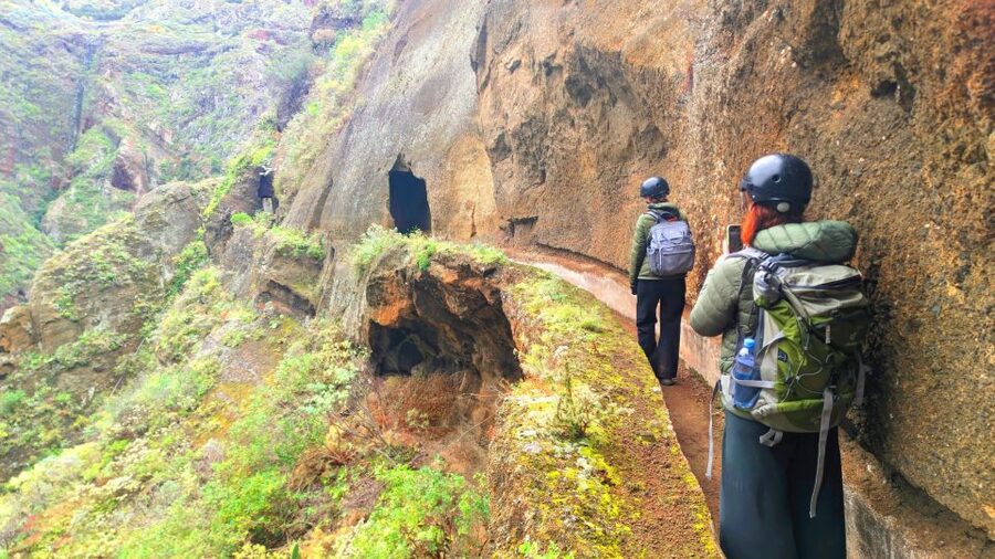 Tenerife: Hiking Tour in Anaga Mountains & Enchanted Forest - Pickup from the south-east: easy to start, easy to finish