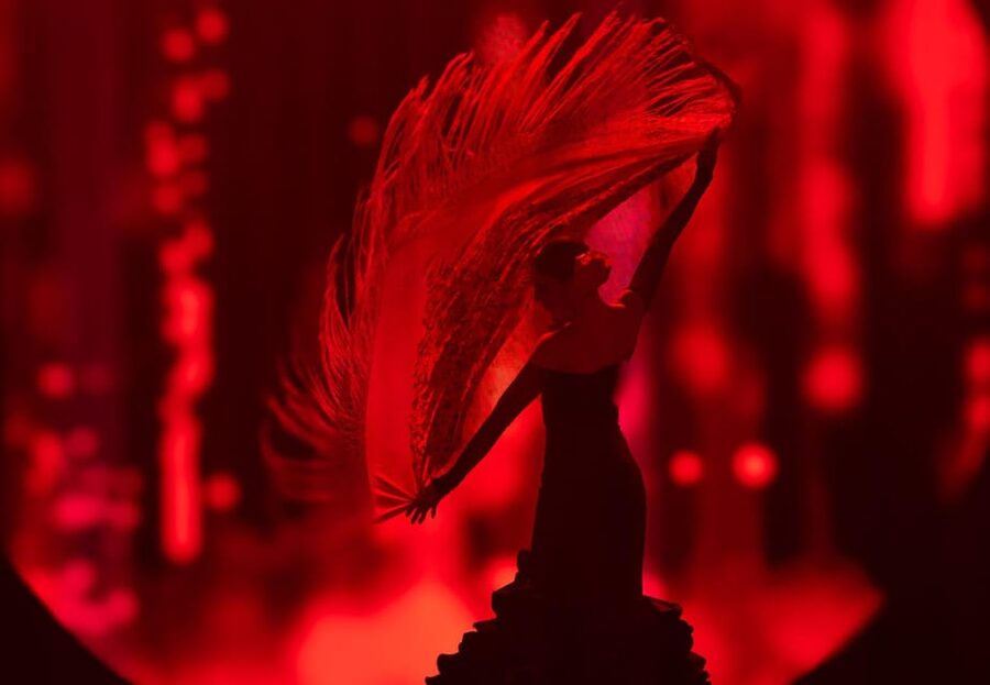 Tenerife: History The Evolution of Music Show Entry Ticket - Key points to know before you go