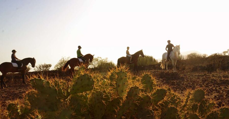 Tenerife: Horseback Ride with Instructor - Key Things That Make This Horse Ride in Tenerife Worth It