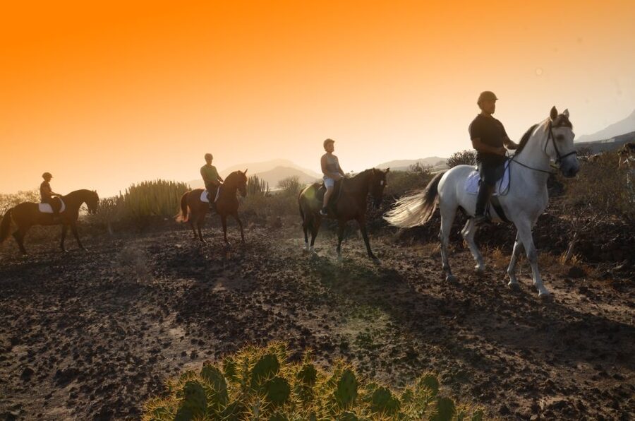 Tenerife: Horseback Ride with Instructor - First Look at Xanadu Riding Center (Arona) and How the Ride Starts