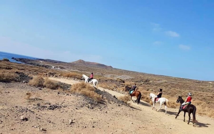 Tenerife: Horseback Ride with Instructor - Choosing 1 Hour vs 2 Hours: What Changes on the Route